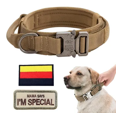 Produktbild von Hundehalsband Verstellbar mit Kontrollgriff Gepolstert Metallschnalle Braun L (46-54 cm)
