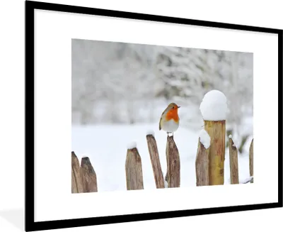 Produktbild von MuchoWow® MuchoWow® Gerahmtes Poster Vogel - Zaun - Schnee 90x60 cm - Poster mit zchwarzem Bilderrahmen - Wanddekoration - Fotos