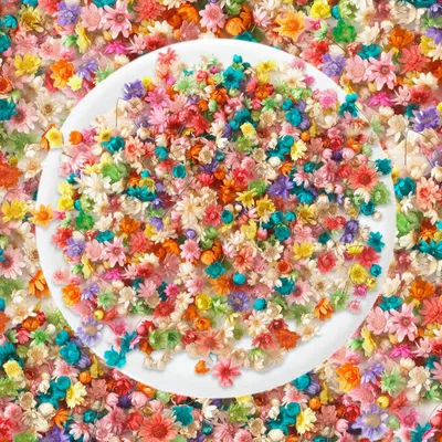 Image de 420 mini-fleurs séchées pour un usage créatif – parfaites pour la résine et la décoration