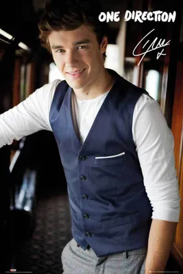 Obrázek produktu pro One Direction - Plakát - Liam Portrait