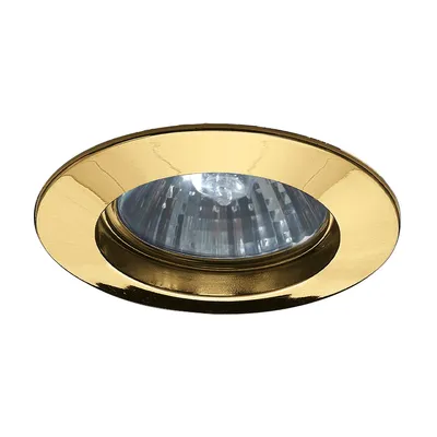 Produktbild von Paulmann Premium Einbauleuchten max.50W 230V GU10 51mm Gold/Alu Zink