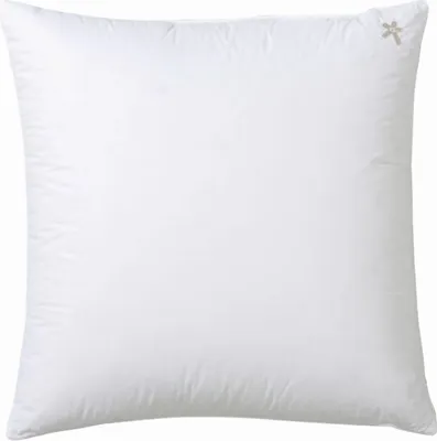 A white pillow is shown against a white background.