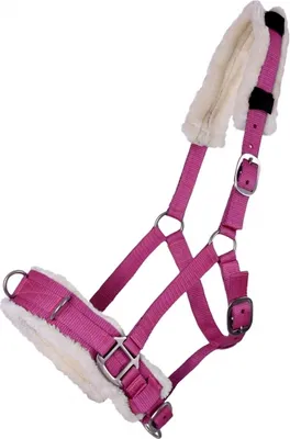Produktbild von Kappzaum Halfter Nylonhalfter Longierhalfter QHP 7 Farben und 4 Grössen Größe - Cob Vollblut Farbe - fuchsia