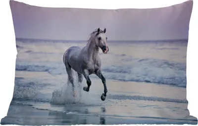 Produktbild von MuchoWow® Outdoor Kissen - Pferd - Meer - Pastell - 60x40 cm - Wetterfest - Lounge Kissen - Zierkissen - Kissen für Innenräume