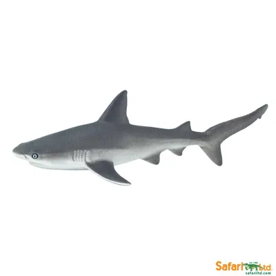 Produktbild von Safari Ltd Gray Reef Shark Figur Grau From 3 Years Grau From 3 Years