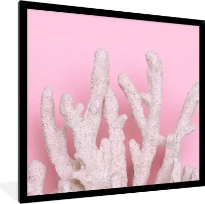 Produktbild von MuchoWow® Gerahmtes Poster Koralle - Rosa - Sommer 40x40 cm - Poster mit Schwarzem Bilderrahmen Wandposter Rahmen Foto Bilder - Mit Rahmen - Wanddekoration Schlafzimmer