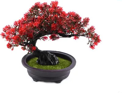Produktbild von Künstlicher Bonsai Baum im Topf 21cm - Dekorative Kunstpflanze wie echt - Deko Pflanze