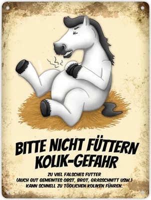 Produktbild von Metallschild XL mit weißem Pferd Motiv und Spruch: Bitte nicht füttern -