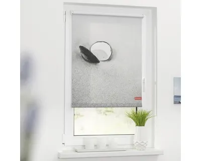 Obrázek produktu pro Roleta na okno Lichtblick bez vrtání šedá mušle 80x150 cm včetně upínacích držáků
