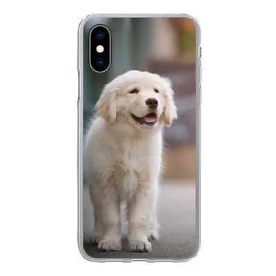 Produktbild von MuchoWow® Handyhülle Schutzhülle Hülle für iPhone X Ein Golden Retriever Welpe läuft auf dem Bürgersteig Silikon Softcase Handy Hülle - Handyhülle