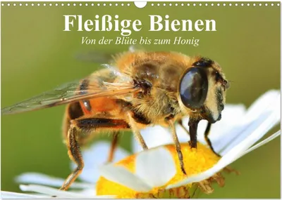 Produktbild von Fleißige Bienen. Von der Blüte bis zum Honig (Wandkalender 2025 DIN A3 quer), CALVENDO Monatskalender