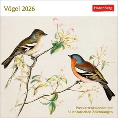 Produktbild von Vögel Postkartenkalender 2026