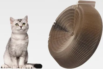 Produktbild von Kratzpappe für Katzen,Kratzbett für Katzen runde Form,Ovale Faltbares Katzenbett Pappe,Katzenkratzbretter Schüssel Nest,aus Karton mit hoher Dichte, dient als Kratzbaum und Katzenbett 26x28cm