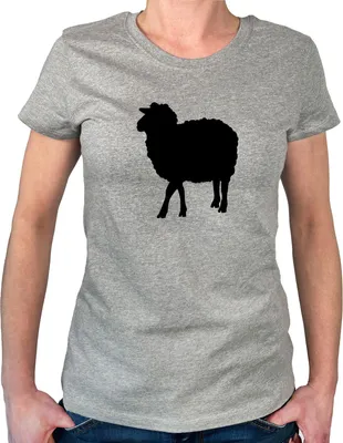 Produktbild von Huuraa Damen T-Shirt Schaf Silhouette XXL Sport Grey Bio Baumwolle Fairtrade Damenshirt Geschenkidee