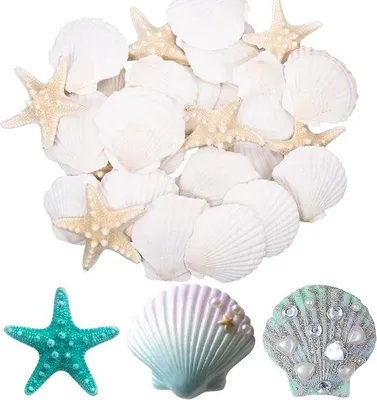 Productafbeelding van Natuurlijke Schelpen en Sterrenbeelden Decoratie Set van 30 Stuks voor DIY Knutselen en Strandfeesten, 6-8 cm, Perfect voor Thuisdecoratie en Creatieve Projecten