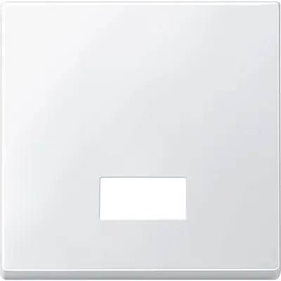 Produktbild von MERTEN Wippe 434819 Symbolfenster polarweiß m
