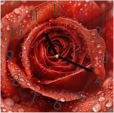 Produktbild von Wanduhr aus Glas mit Motiv Wassertropfen Rose- 30 x 30 cm - inkl. Aufhängesystem