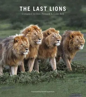 Zdjęcie produktu dla The Last Lions
