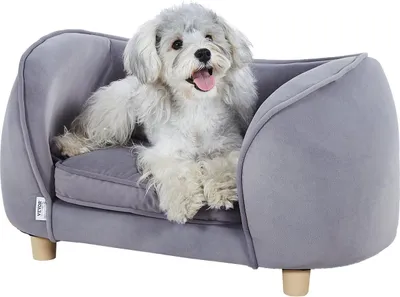 Productafbeelding van Kattenbankje, hondenbankje voor kleine honden en katten, zacht fluweelbankje voor honden, draagvermogen 30 kg, donkergrijs