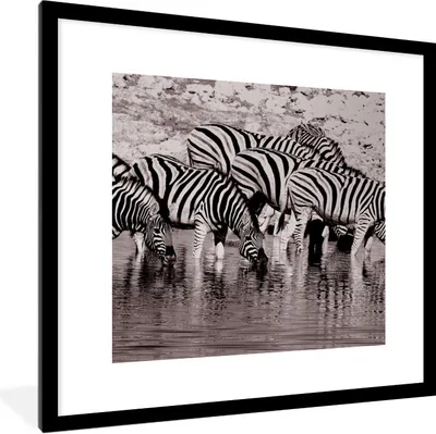 Produktbild von MuchoWow® Gerahmtes Poster Zebras im Wasser 40x40 cm - Poster mit Schwarzem Bilderrahmen Wandposter Rahmen Foto Bilder - Poster - Plakat im Rahmen