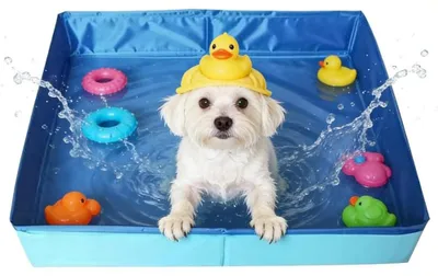 Image de Baignoire pliable pour petits chiens et chats