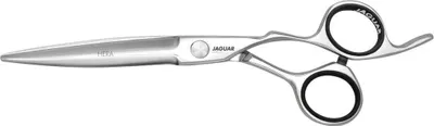 A pair of silver hairdressing scissors on a white background.