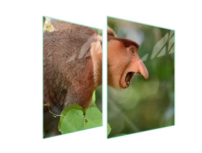 Produktbild von Glasschutzplatte Für Herd 70X52 Nosacz