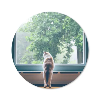 Produktbild von MuchoWow® Mauspad Mousepad Katze - Fenster - Pflanzen 40x40 cm - Mousepads - Maus Mat - Pad - Mausunterlage - Schreibtisch Accessoires