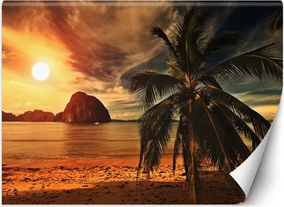 Produktbild von Vlies fototapete Meer Palmen Sonnenuntergang 400x280 cm Feeby Blau inkl. Kleber einfache Montage