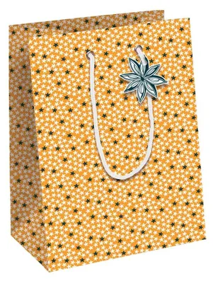 Produktbild von Clairefontaine X-32784-3C, Geschenkverpackungstasche, Muster, 210 g/m², 215 mm, 102 mm, 253 mm