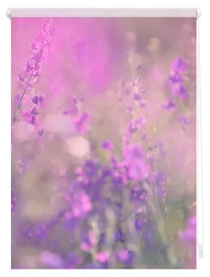 Produktbild von Lichtblick Rollo Verdunkelung ohne Bohren 60 x 150 cm