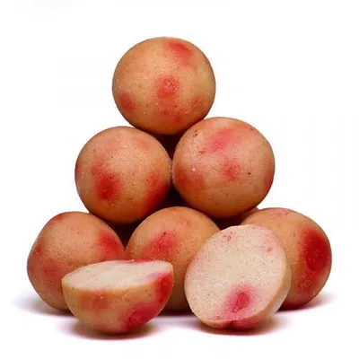Produktbild von Carp Killers Boilies Scoberry 3,5kg Eimer, Durchmesser:16mm