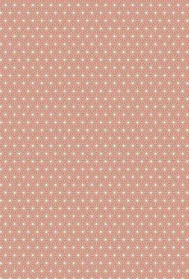 Produktbild von HEYDA Motivkarton Starlight A4 (21 x 31 cm inkl. Codierleiste) koralle