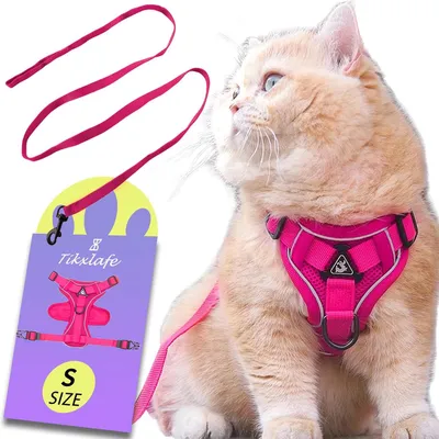 Produktbild von Famanu Katzenharness mit verstellbarem Gurt - 150 cm Polyesterharness für Katzen in S-Rosa