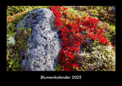 Produktbild von Blumenkalender 2025 Fotokalender DIN A3