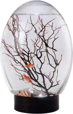 Obrázek produktu pro Mini akvarijní ekosystém, uzavřený stolní ekosystém s LED osvětlením a otočnou základnou, černý, 1 kus