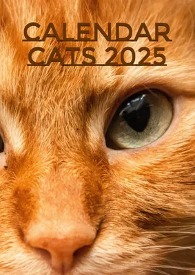 Productafbeelding van Calendar Cats 2025 Description