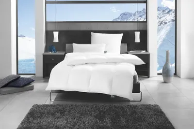 Produktbild von Kopfkissen Alaska weiss