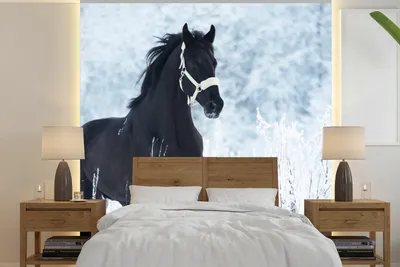 Produktbild von MuchoWow® Fototapete für Wohnzimmer oder Schlafzimmer Wandtapete Vinyl Motivtapete Pferd - Schnee - Winter - 300x300 cm - Wanddekoration