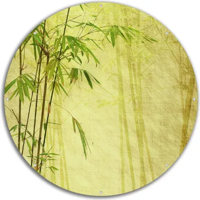 Produktbild von Wallario rundes Outdoor-Poster für Garten oder Balkon, Motiv Antiker Bambus, 60 cm Durchmesser