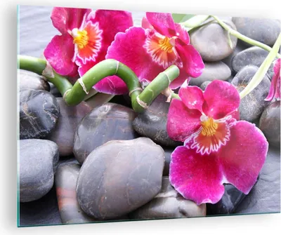 Produktbild von Bilder auf glas - Asiatisch bambus orchidee steine - 70x50cm - Glasbilder - Wandbilder - Kunstdruck - zum Aufhängen bereit - Wanddekoration aus Glas - Glas Bilder - Wandbild auf Glas - GAA70x50-0465