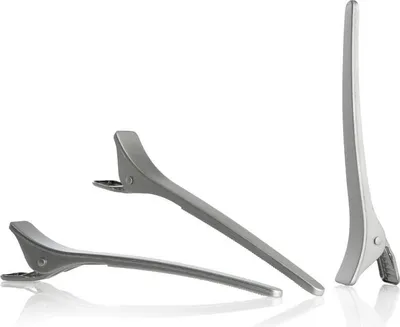 Produktbild von F310 Kunststoff/Aluminium-Haarstyling-Clips Silber 6 Stück