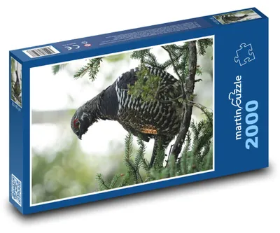 Obrázek produktu pro martinpuzzle - Puzzle 2000 - Pták - tetřev