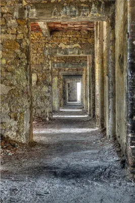 Produktbild von Wallario Poster - Weg durch eine verlassene Ruine, Kunstdruck Größe: 61 x 91,50 cm
