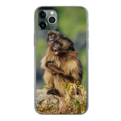 Produktbild von MuchoWow® Handyhülle Schutzhülle Hülle für iPhone 11 Pro Max Affen - Pflanzen - Steine - Familie Silikon Softcase Handy Hülle - Schutz