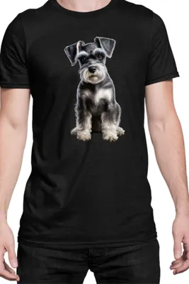 Produktbild von Herren T-Shirt Dogs Breeds Miniature Schnazuer Dog Breed 006, Man 5XL / Schwarz