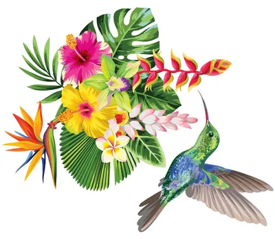 Produktbild von Wandaufkleber – Tropische Blumen und Kolibri – Transparenter Hintergrund – 110 x 130 cm