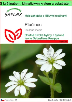 Obrázek produktu pro SAFLAX Garden to go - Ptačinec - Stellaria media - 1000 Semena - S květináčem, klimatickou poklicí a pěstebním substrátem