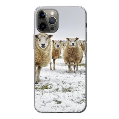 Produktbild von MuchoWow® Handyhülle Schutzhülle Hülle für iPhone 12 Pro Schafe - Wolle - Schnee Silikon Softcase Handy Hülle - Abdeckung