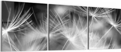 Produktbild von DEQORI Glasbild Echtglas 3x50x50 cm 'Pusteblumenflug' Wandbilder XXL groß
